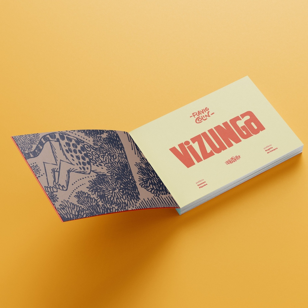 Vizunga
