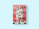 Curiosidade